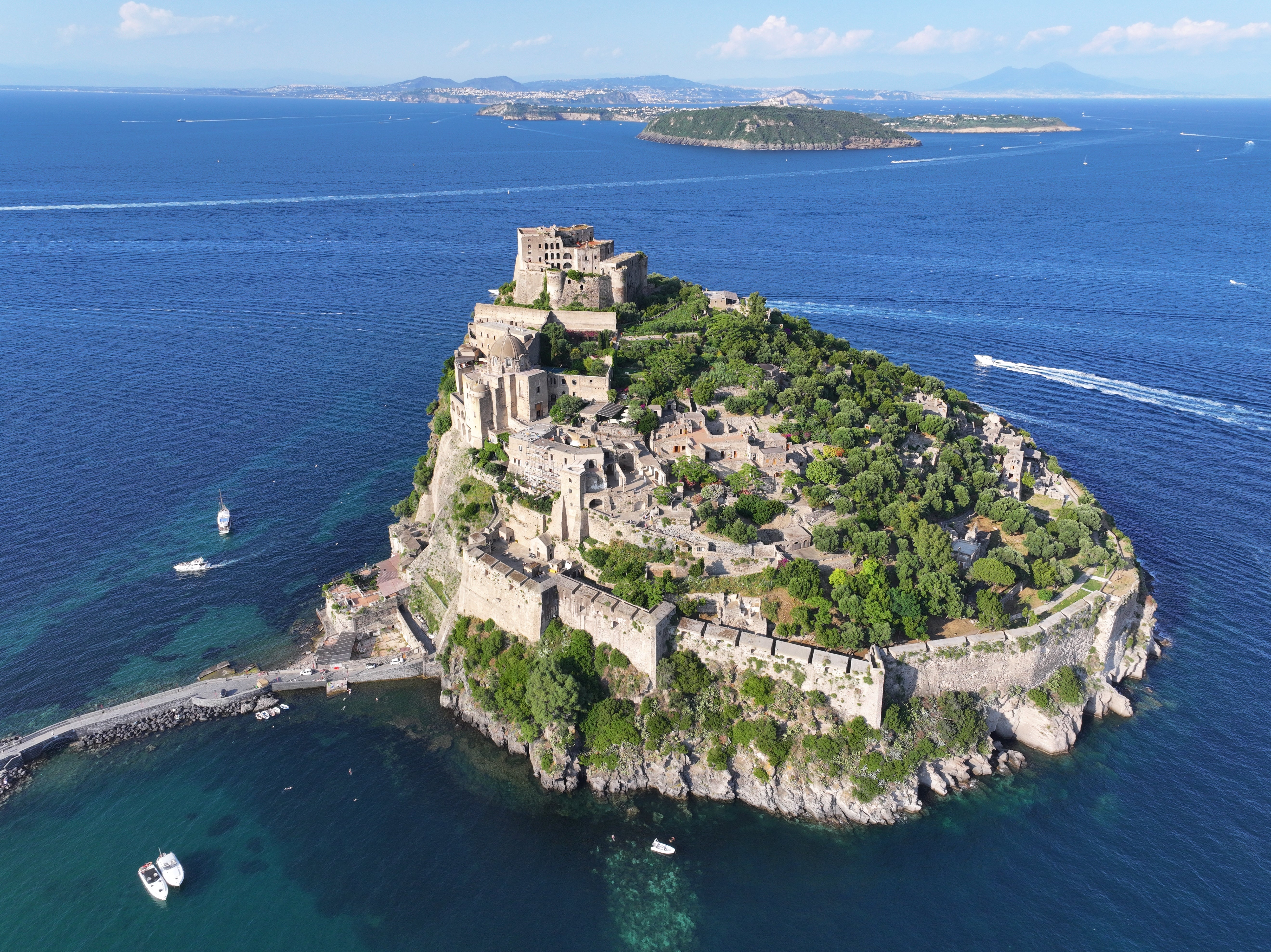 <h2>Vittoria Colonna e il Castello Aragonese</h2>