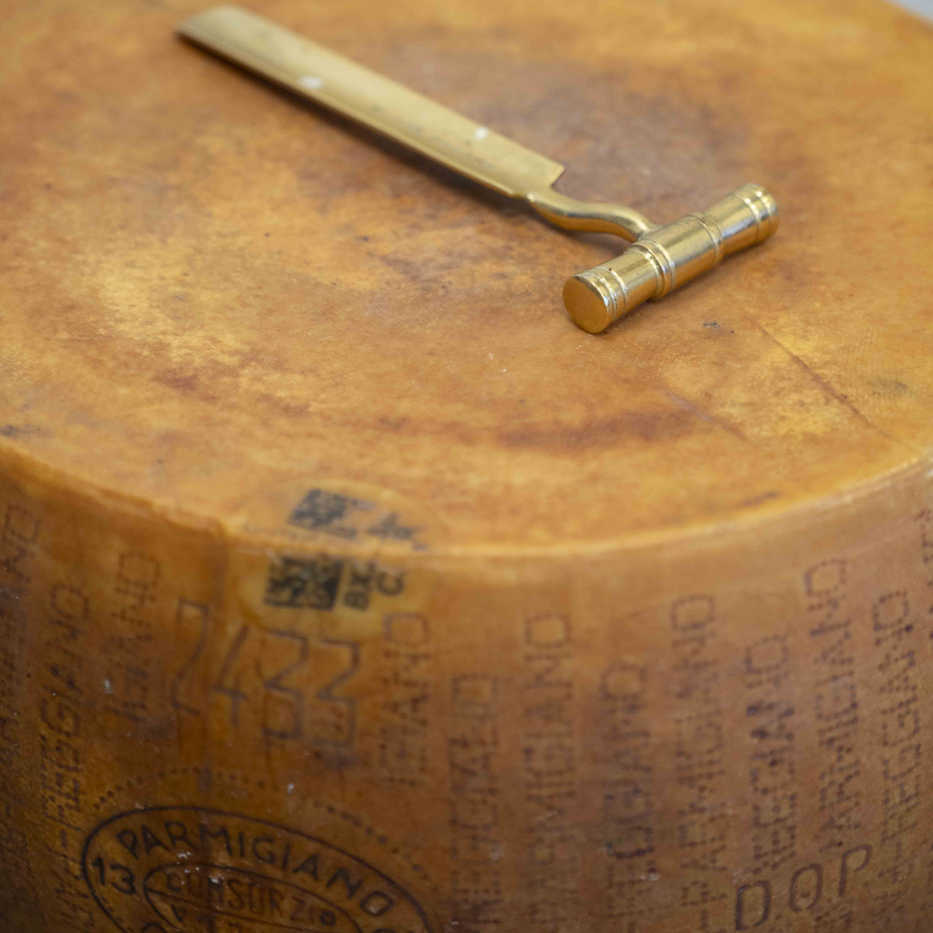 <h2>Il battitore del Parmigiano Reggiano</h2>